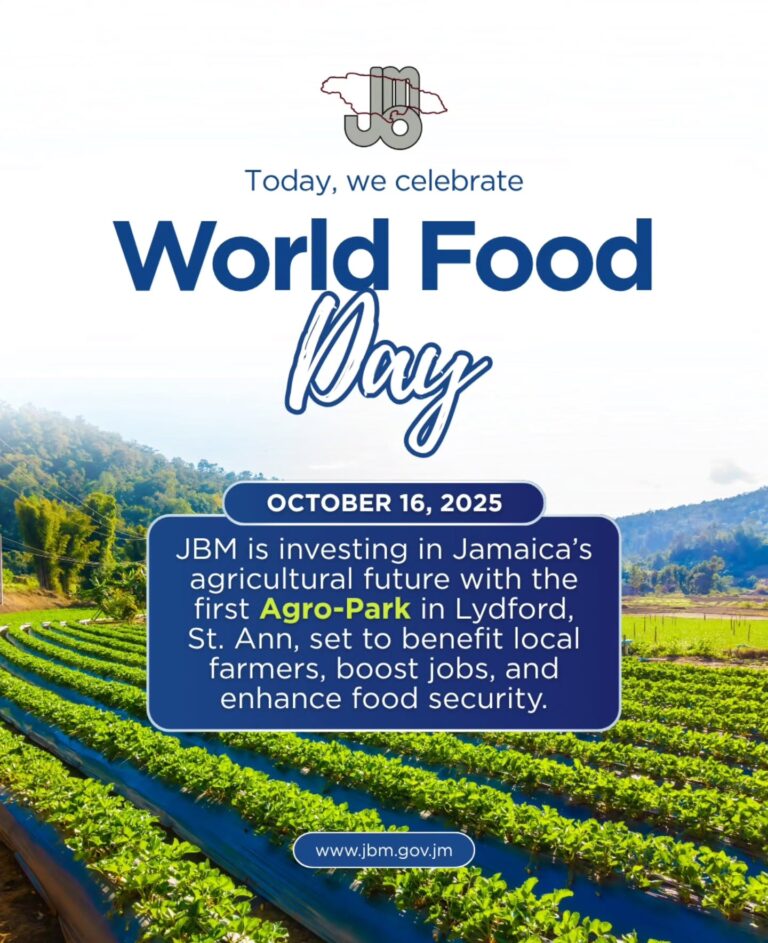 Instagram post from jamaicabauxiteminingltd. This post is in position 2.